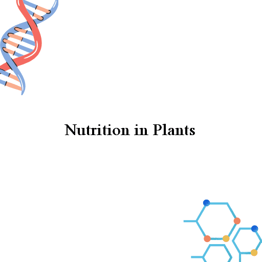 Nutrition in Plants